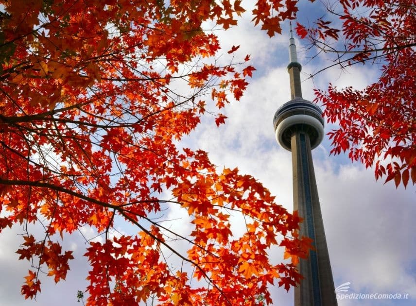 Toronto a la sua CN Tower: la principale destinazione per pacchi da spedire in Canada
